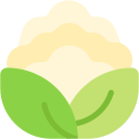 coliflor icon