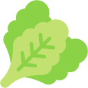 lechuga icon