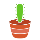 planta de cactus icon