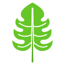 hoja de monstera icon