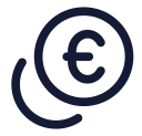 Euro icon