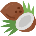 Coco icon