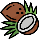 Coco icon