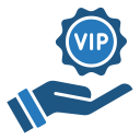 vip 