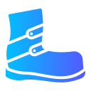 bota icon