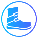 bota icon