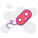 bacterias icon