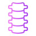 columna vertebral icon