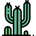 Cactus icon