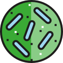 bacterias icon