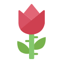 rosa icon