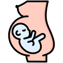 obstetricia icon