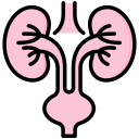 urología icon