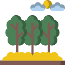 Bosque icon