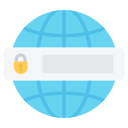 https icon