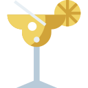 alcohol icon