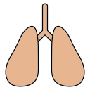 pulmones icon