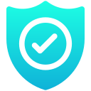 seguridad icon