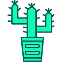 cactus icon