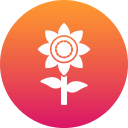 girasol icon