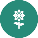 girasol icon