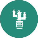 cactus icon