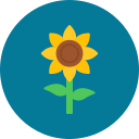 girasol icon