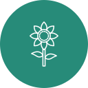 girasol icon