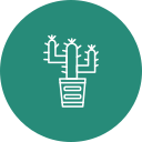 cactus icon