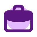 bolsa icon