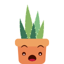 cactus icon