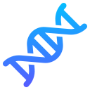 estructura del adn icon