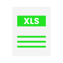 xls icon