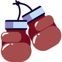 boxeo icon