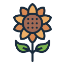 girasol icon