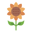 girasol icon