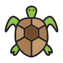 tortuga icon