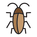 cucaracha icon