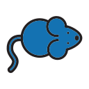 ratón icon