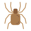 tarántula 