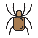 tarántula icon