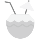 bebida de coco icon