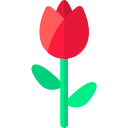 Tulipán icon