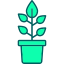 planta icon