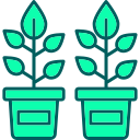 plantas icon