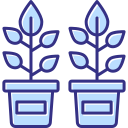 plantas icon