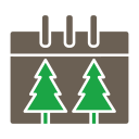 navidad icon