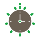 reloj icon