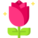 Rosa icon