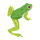 rana 